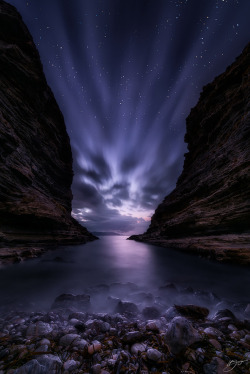 drxgonfly:  Hidden (by Hillary Younger) 