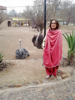 prythm:  Had to take Sharanjit Bhabhi to National Zoo on her