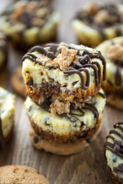 fullcravings:  Chocolate Chip Cookie Cheesecakes