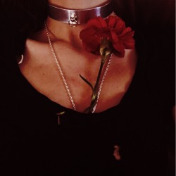 metalgf:New choker and a red flower through the hole in my shirt