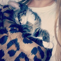 kittiesntitties.tumblr.com/post/59440270128/