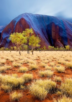 bluepueblo:  Rainy Day, Uluru Rock, Australia photo via nationalgeographic