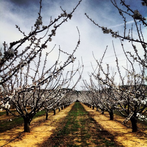 Provence, France - Photographer: Antonia Polimeni