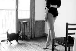 myschaoreo: La danseuse et la chat Photo: Myscha Oréo 