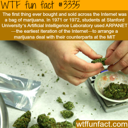 wtf-fun-factss:  The first item sold on the internet -  WTF