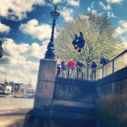 thatchiefshieff:  Beau flying through the sky at south bank.