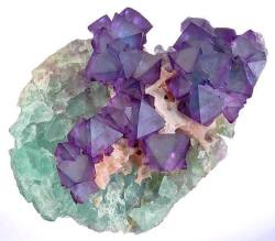 geologyin-blog: Bi-colored Fluorite octahedrons on Quartz and