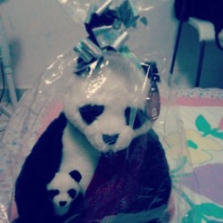 Hermoso regalo :‘3 #panda #ilovepandas #padas #regalo #pandita