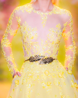 propisces:  Zuhair Murad - Spring Summer 2014 