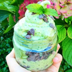 im-horngry:  Vegan Chocolate Chip Mint Banana Ice Cream by @instagram.com/ethicalvegan