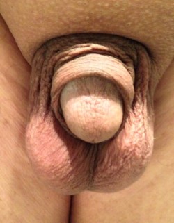 tiny-one2:  I know my cock is tiny…but it does grow to a full