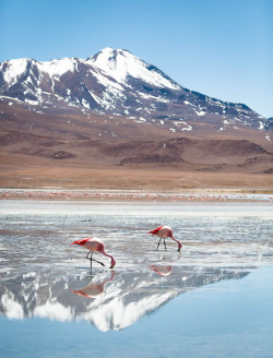 archatlas:  Bolivia, Lagunas Jérôme Galland