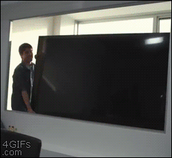 theclearlydope:  Well done, LG.  4gifs:  LG HDTV job interview