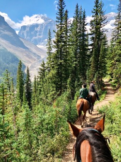 sunnystrong:Amazing views of banff on horseback
