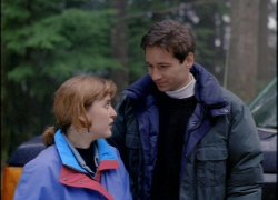 discombobulateddavidduchovny:  The X Files is a show about two