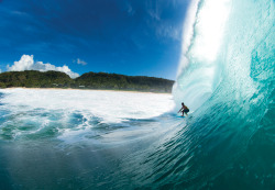 surphile:Dave Wassel. Pipeline in all of its glory.photog bielmann