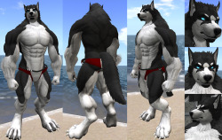 roulga:  1ST ACT : GAROU (New product) Body cost : 1850 L$ Bodysize