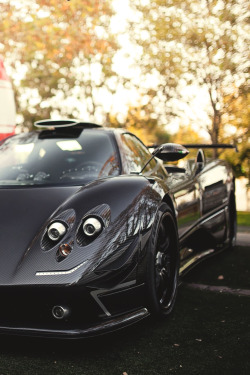 artoftheautomobile:  Pagani Zonda 760RS (via Track Addict) The