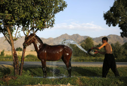 atlanticinfocus:  From Afghanistan: September 2013, one of 34