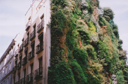 eoreu:  Patrick Leblanc’s vertical gardens are so lovely I