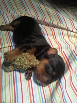 rollmyweedbaby:  ❤️❤️❤️❤️❤️❤️❤️