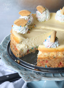 do-not-touch-my-food: Sugar Cookie Cheesecake 