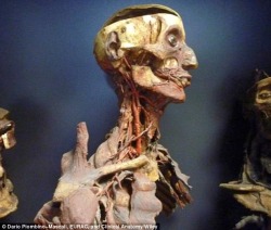 These remarkable Italian mummies have been preserved almost perfectly