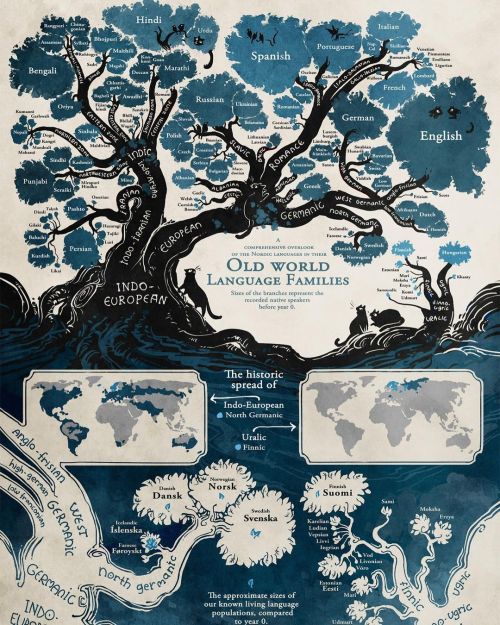 colchrishadfield:Language roots, branches & places - cool