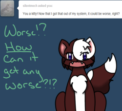 ask-peppermint-pattie:  I am a CAT for crying out loud! What am