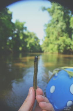 nickijuana:  Rolled blunts as I tube 