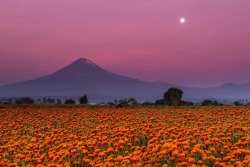 neomexicanismos:    “El valle de los volcanes se ha pintado