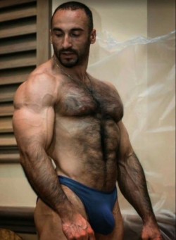 boxerbeograd:  Hot muscle stud