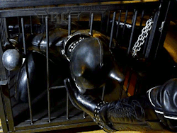 caged boot licking rubber dog