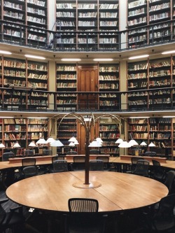 warmhealer:One more of the library when it was quiet. Days are