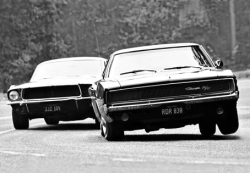 huslrbrodie:  Charger & Mustang