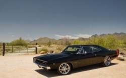 eat-sleep-ralph-repeat:  69’ Charger