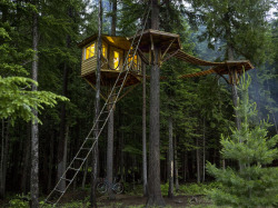 treehauslove:  Backyard Treehouse. A treehouse bedroom built