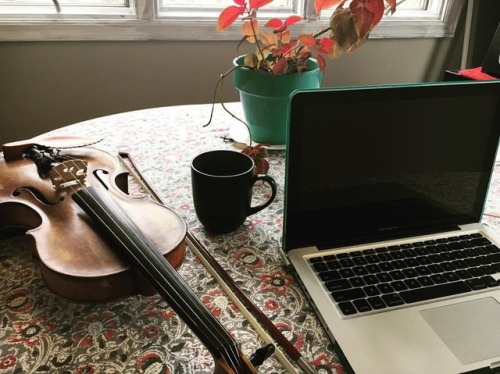 <p>Moved my office this morning. You’ll all see the super fun reason why in just a few days… Bonus is getting to teach next to my favorite plant that @nateleellc gave me. #fiddle #fiddleteacher #skypelessons #ilovethisplant (at Fiddlestar)</p>