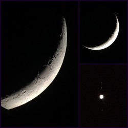 enrichedstarguts:  The crescent #moon was beautiful tonight.