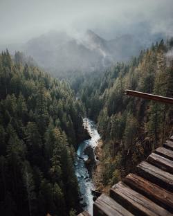 wild-nirvana: folklifestyle:  grace–upon–grace:  Vance Creek