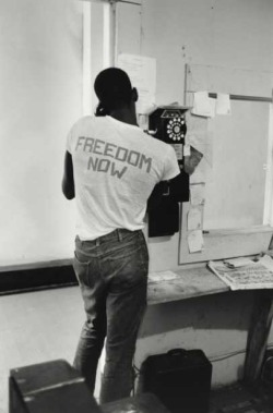 zzzze:  STEVE SCHAPIRO  Freedom Now, Canton, Ohio, 1964 Gelatin
