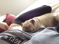 liftlikebrittany:  zinf:  basically if I’m laying down I better