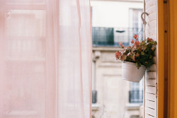 floemist:  untitled by isabelle bertolini on Flickr. 