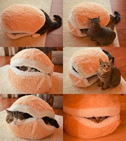 awwww-cute:  The Kitty Hamburger Pillow!