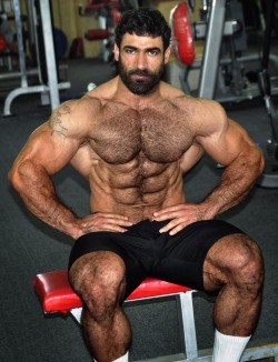 OMG he is on exceptionally handsome, hairy, muscular looking