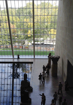 museumgifs:  The leaves in Central Park are starting to change.