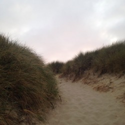 sprouhty:  the dunes were so beautiful
