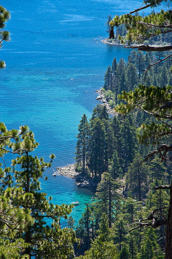bluepueblo:  Turquoise, Lake Tahoe, California photo via linda