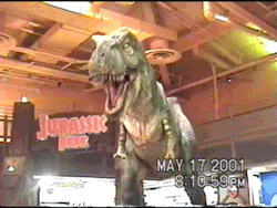 yvngpharrell:  Jurassic Park Dinosaur at the Toys”R”Us 
