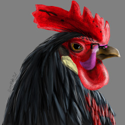 blightowl:  It’s Markiplier as a Rooster!  Inspired by Mark&rsquo;s play through of Chicken Walk.